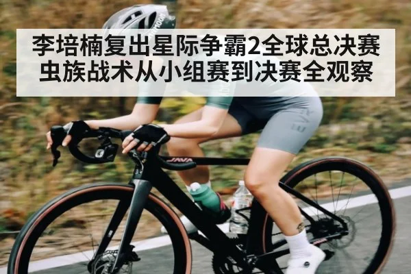 李培楠复出星际争霸2全球总决赛虫族战术从小组赛到决赛全观察